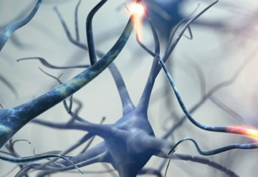 Seminario Internacional Baremos Chilenos