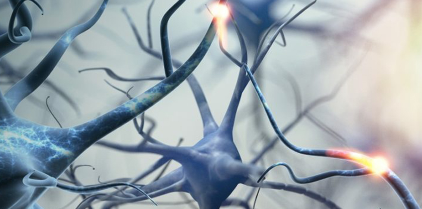 Seminario Internacional Baremos Chilenos