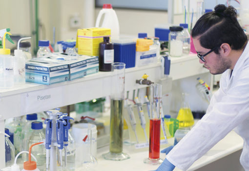 Seis proyectos Fondecyt