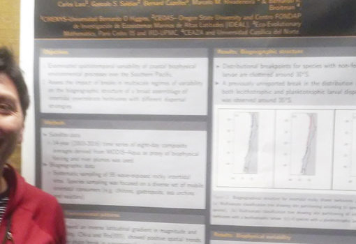 Investigador de CIRENYS