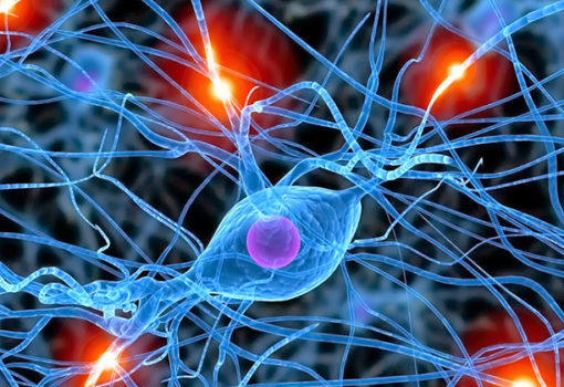 Primer Encuentro ADAI