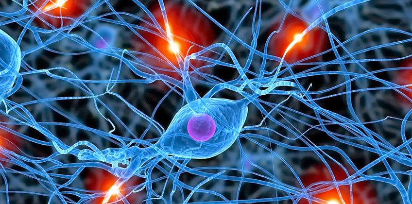 Primer Encuentro ADAI