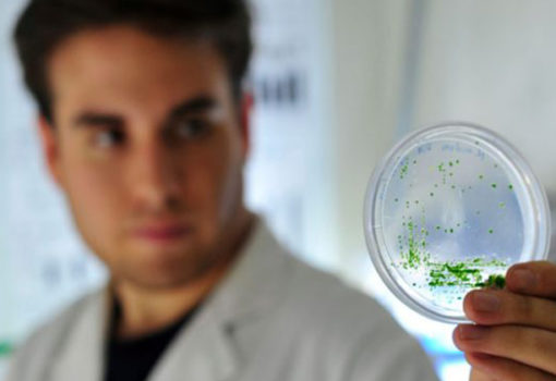 Innovación y vocación regional