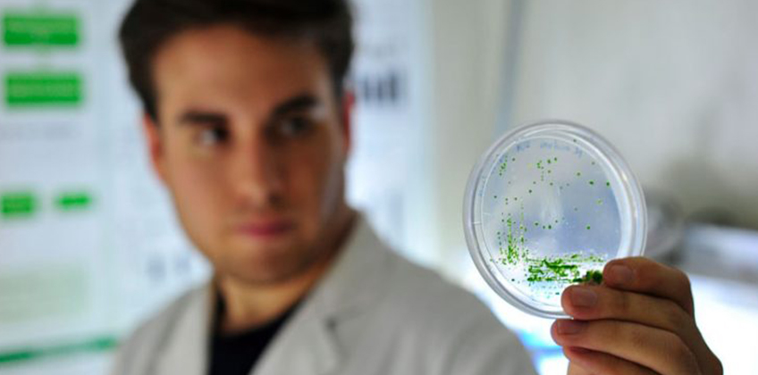 Innovación y vocación regional